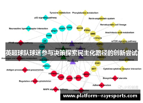 英超球队球迷参与决策探索民主化路径的创新尝试