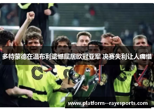 多特蒙德在温布利遗憾屈居欧冠亚军 决赛失利让人痛惜